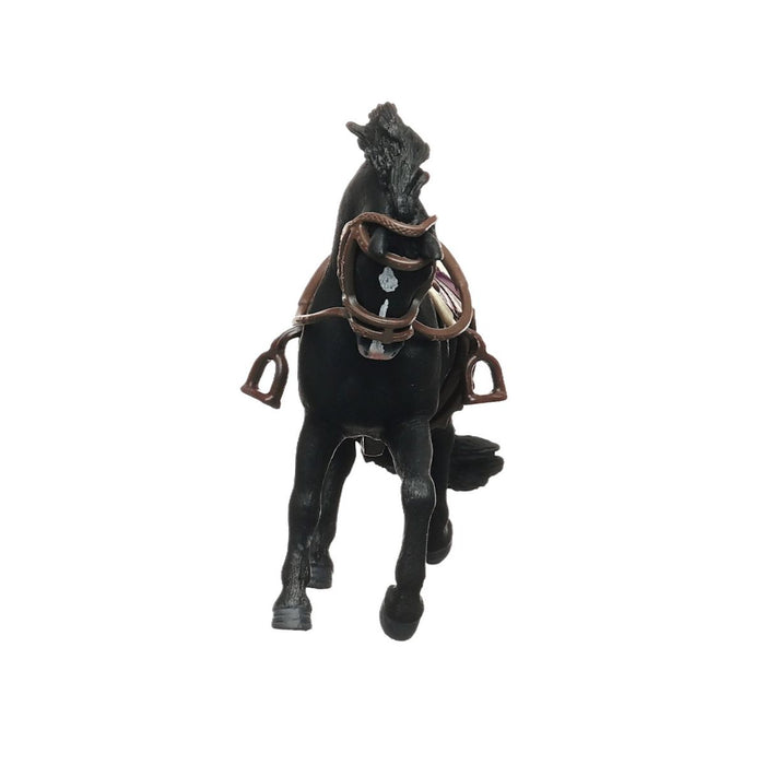 Pura Raza Española Stallion with saddle and bridle