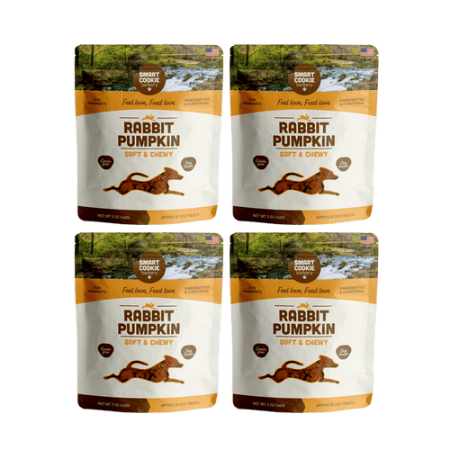 Rabbit + Pumpkin Dog Treat Bundle
