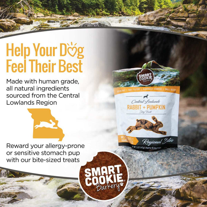 Rabbit + Pumpkin Dog Treat Bundle
