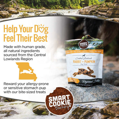 Rabbit + Pumpkin Dog Treat Bundle