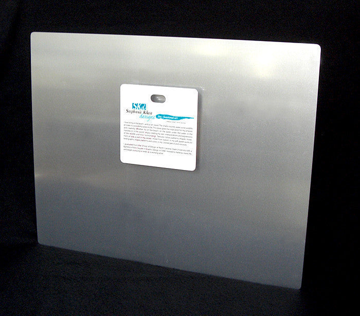 Rainbow Dolphin Aluminum Wall Art