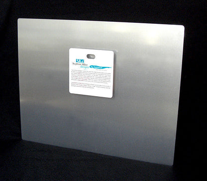 Rainbow Dolphin Aluminum Wall Art