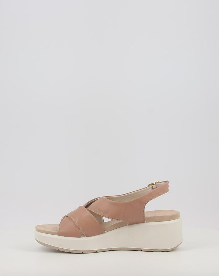 CATERINA 758480