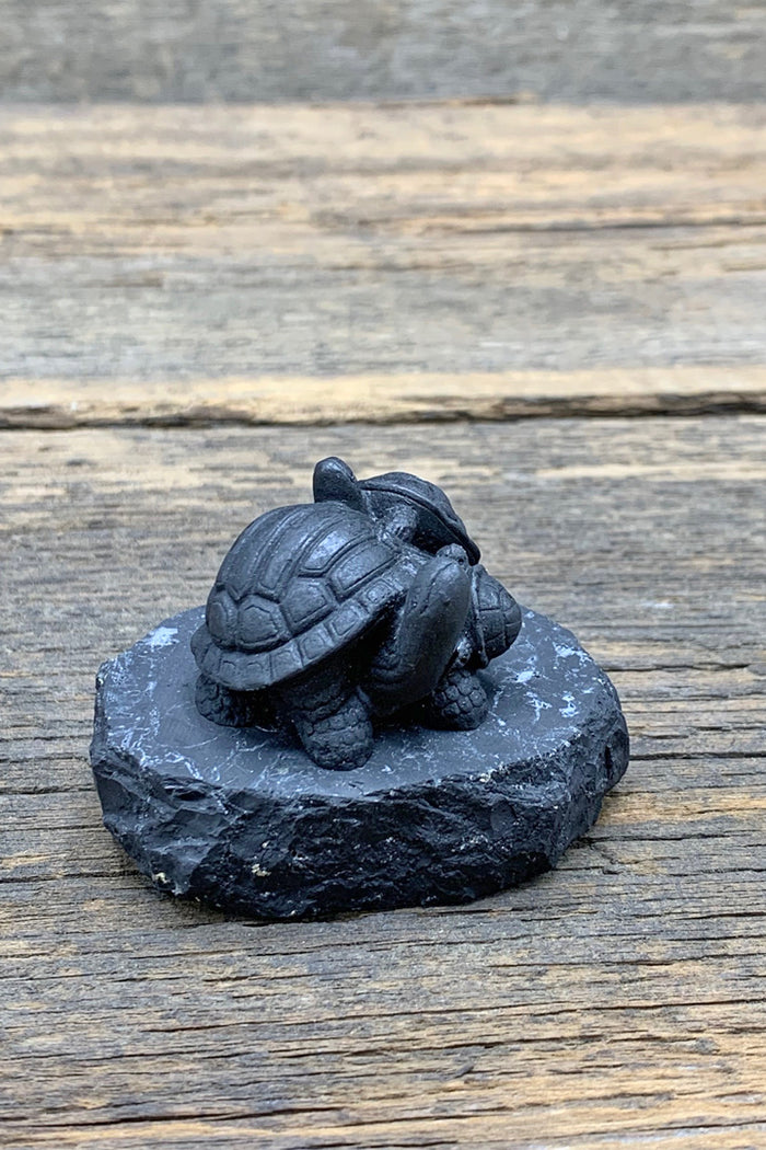 Shungite Turtle - Zero Point Crystals