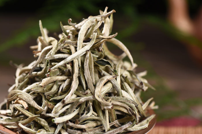 Silver Needles White Tea of Feng Qing | Yunnan Sourcing Tea Shop
