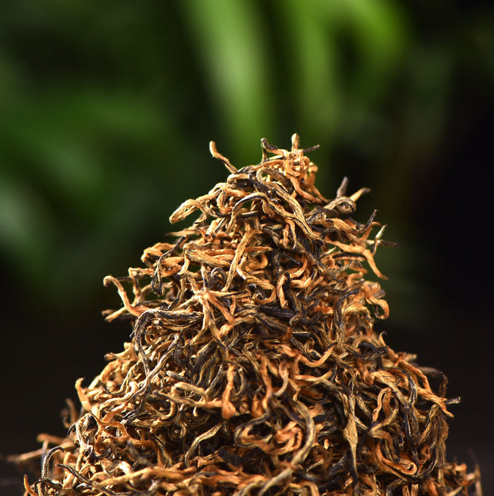 Simao "Spring Tips" Pure Bud Black Tea of Yunnan | Yunnan Sourcing Tea Shop