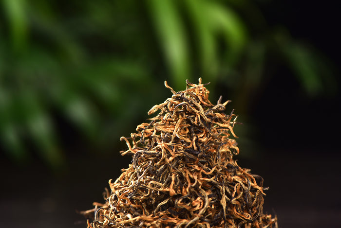 Simao "Spring Tips" Pure Bud Black Tea of Yunnan | Yunnan Sourcing Tea Shop