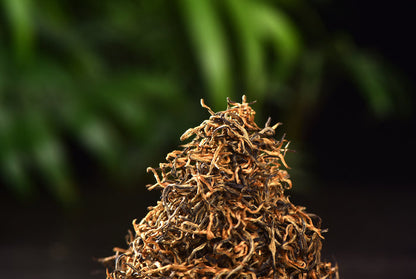 Simao "Spring Tips" Pure Bud Black Tea of Yunnan | Yunnan Sourcing Tea Shop