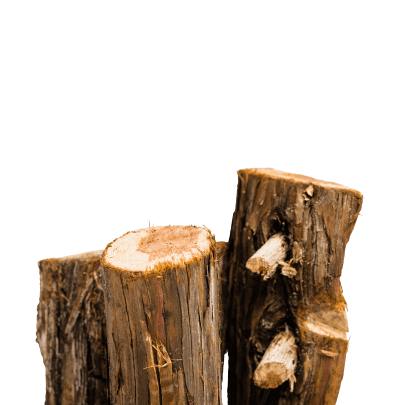 Solo Stove Juniper Aromatic Firewood Bundle