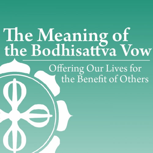 The Meaning of the Bodhisattva Vow