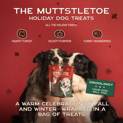 The Muttstletoe - 3 Pack Bundle