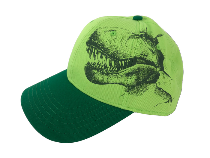Ultimate Dinosaur Gift Set