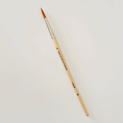 emily lex studio Watercolor paintbrush set of five wood brushes