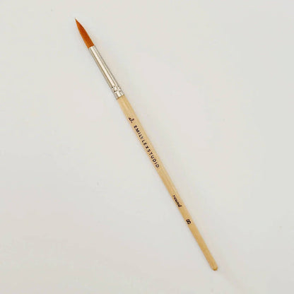 emily lex studio Watercolor paintbrush set of five wood brushes