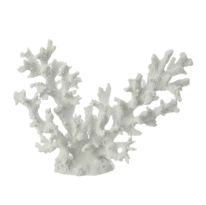 White Coral