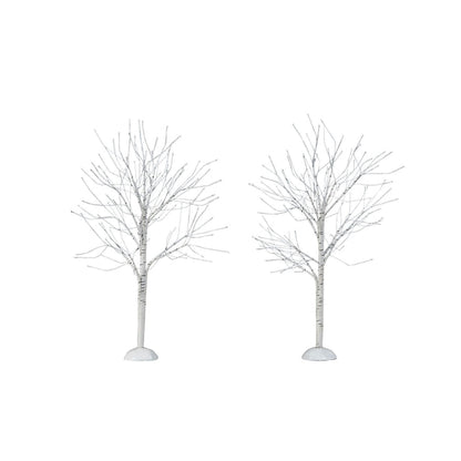Winter Birch