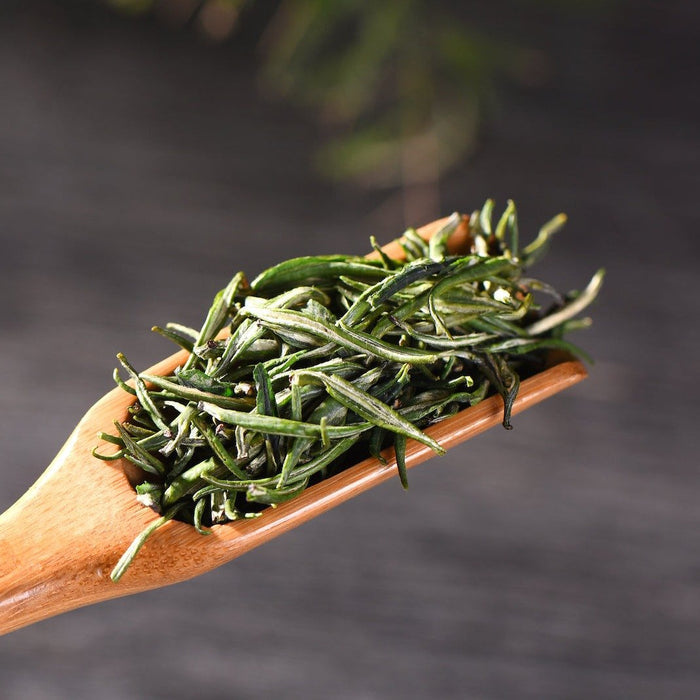 Yunnan "Zhu Ye Qing" Green Tea | Yunnan Sourcing Tea Shop